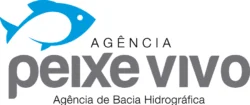 Agência Peixe Vivo